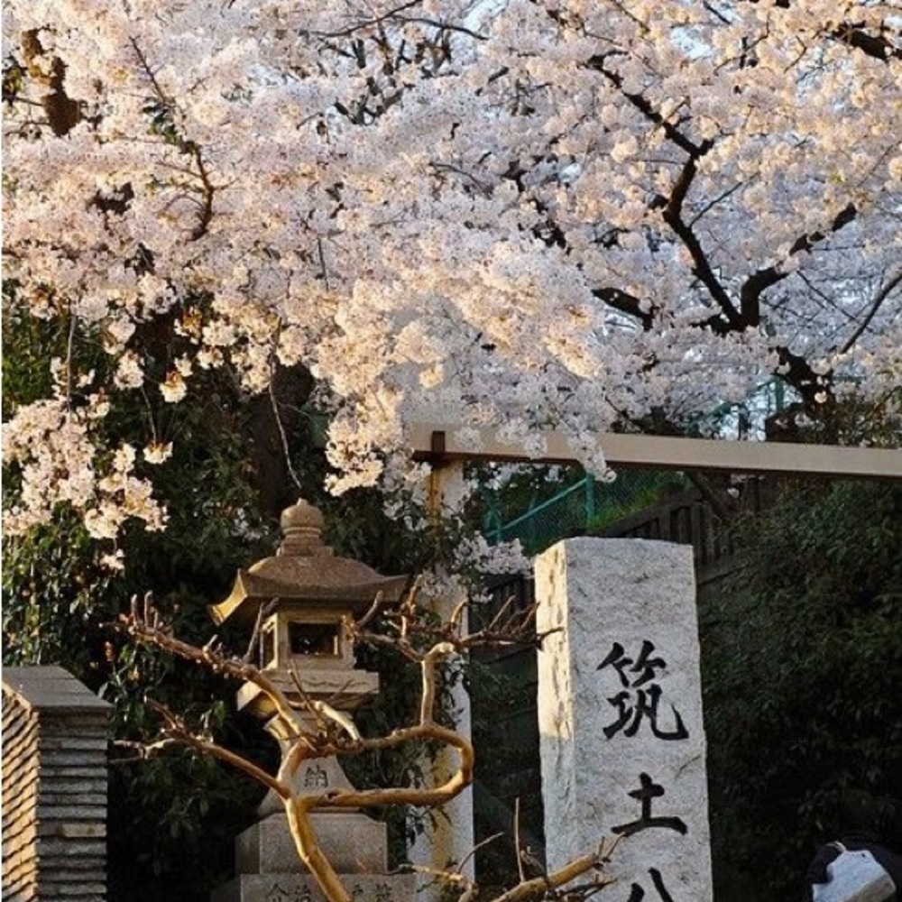 Meet your Posher, Reegan